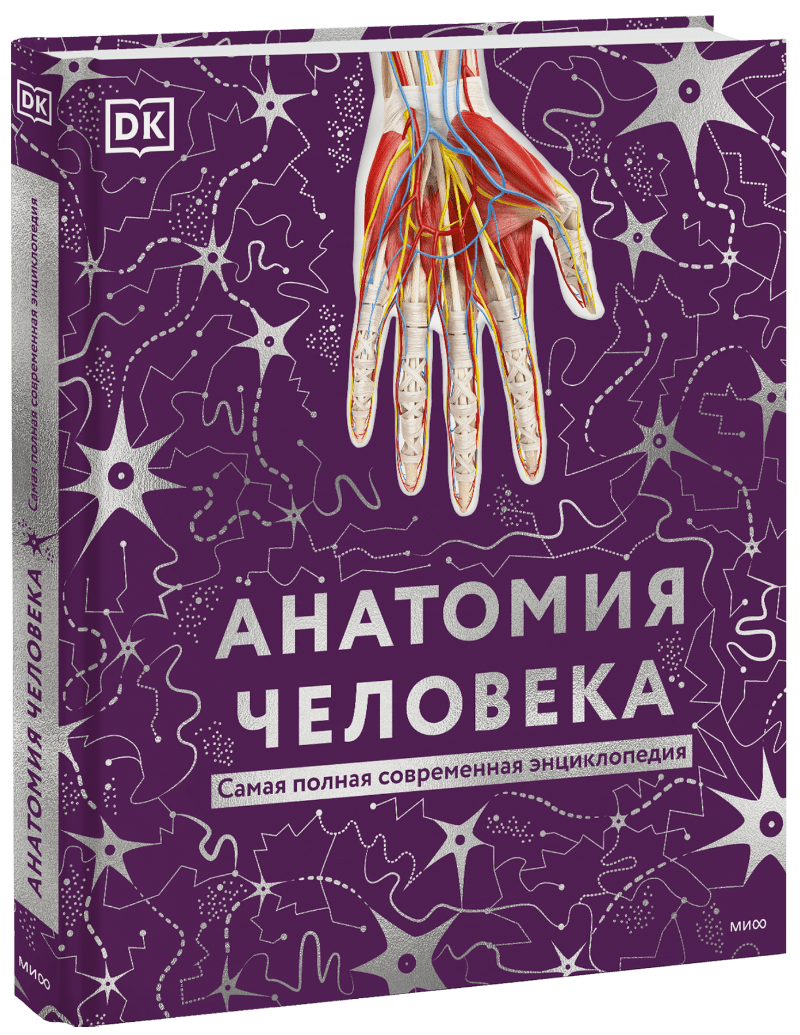 Анатомия человека