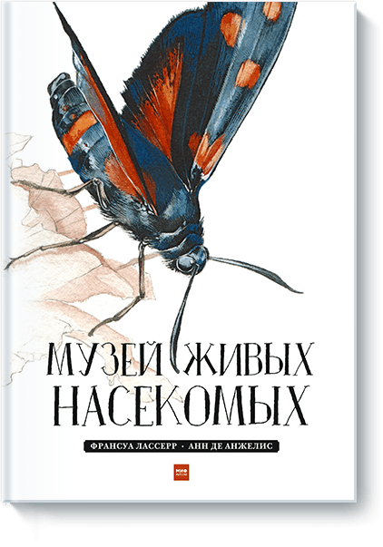 Музей живых насекомых