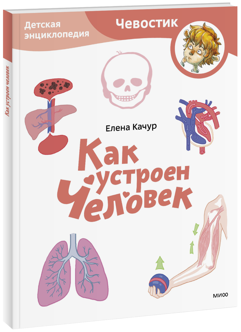 Как устроен человек. Детская энциклопедия. Paperback