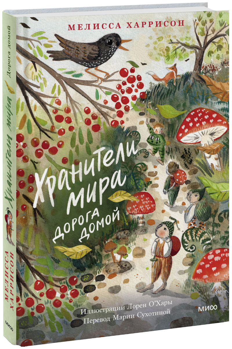 Хранители мира. Дорога домой