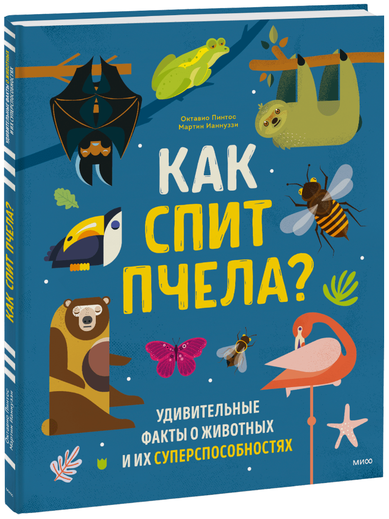 Как спит пчела?