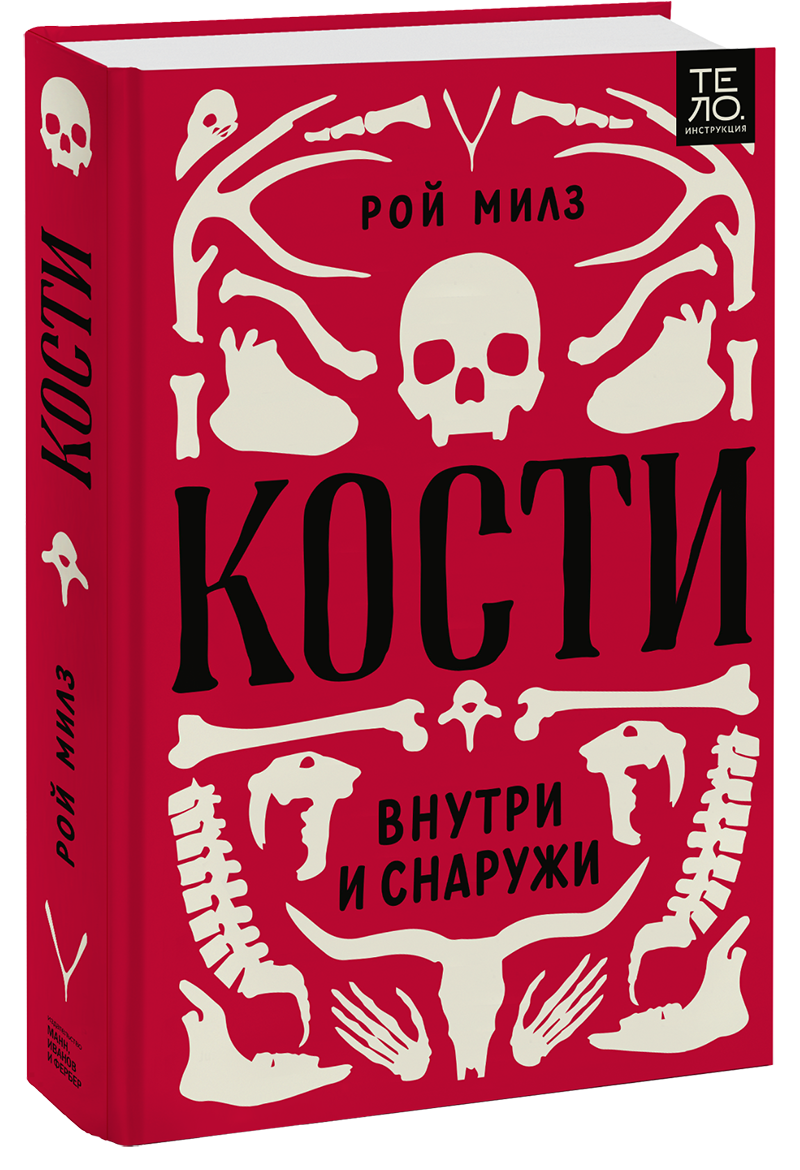 Кости: внутри и снаружи