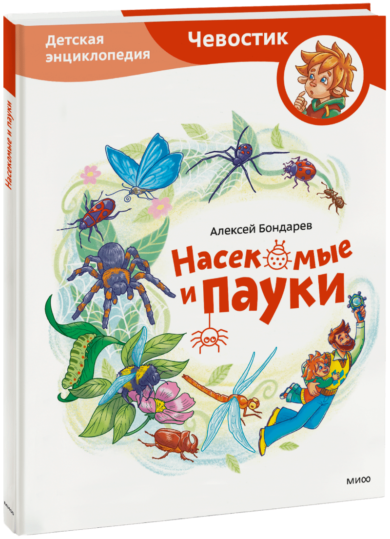 Насекомые и пауки. Детская энциклопедия