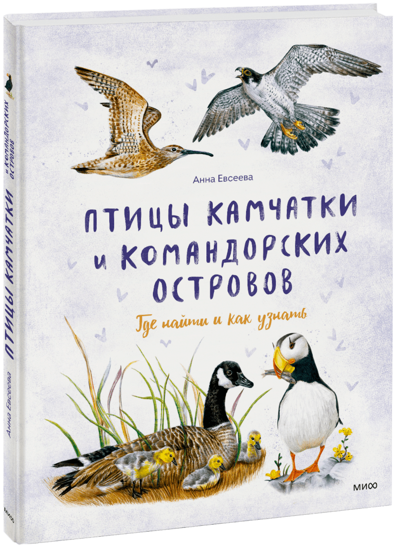 Птицы Камчатки и Командорских островов