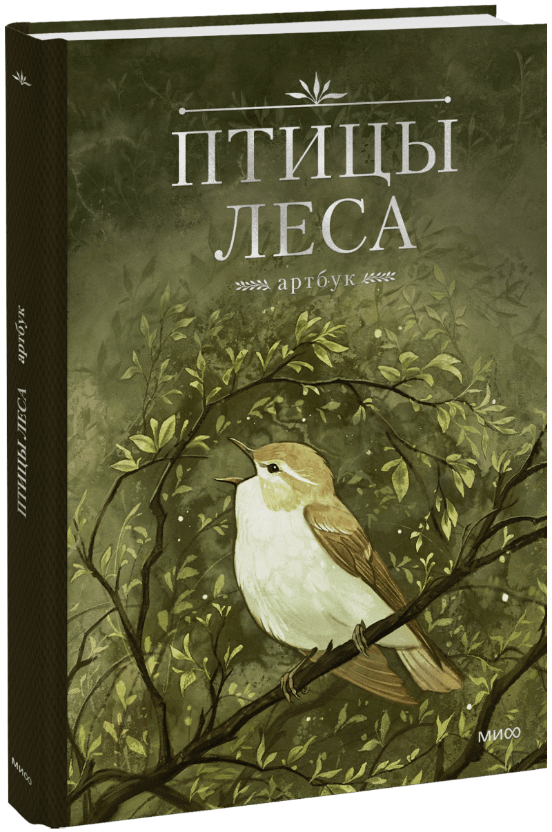 Птицы леса. Артбук
