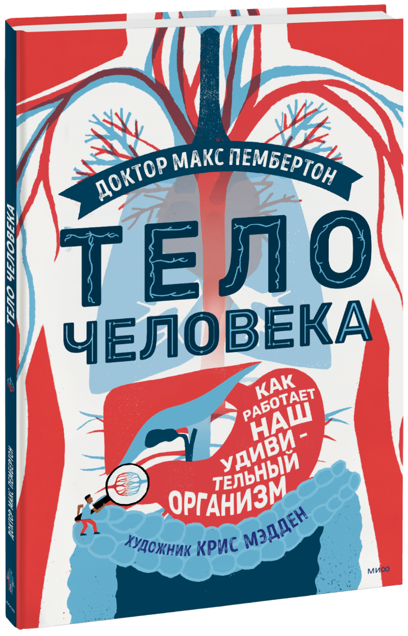 Тело человека