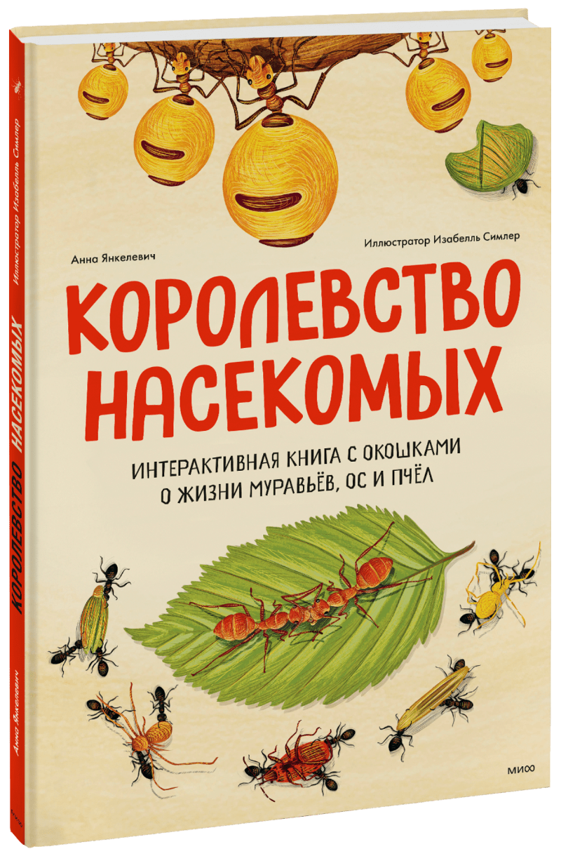 Королевство насекомых