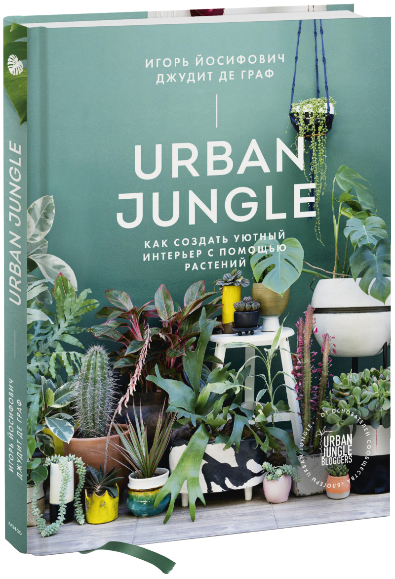 Urban Jungle