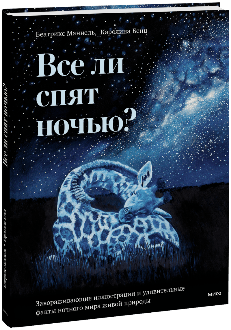 Все ли спят ночью?