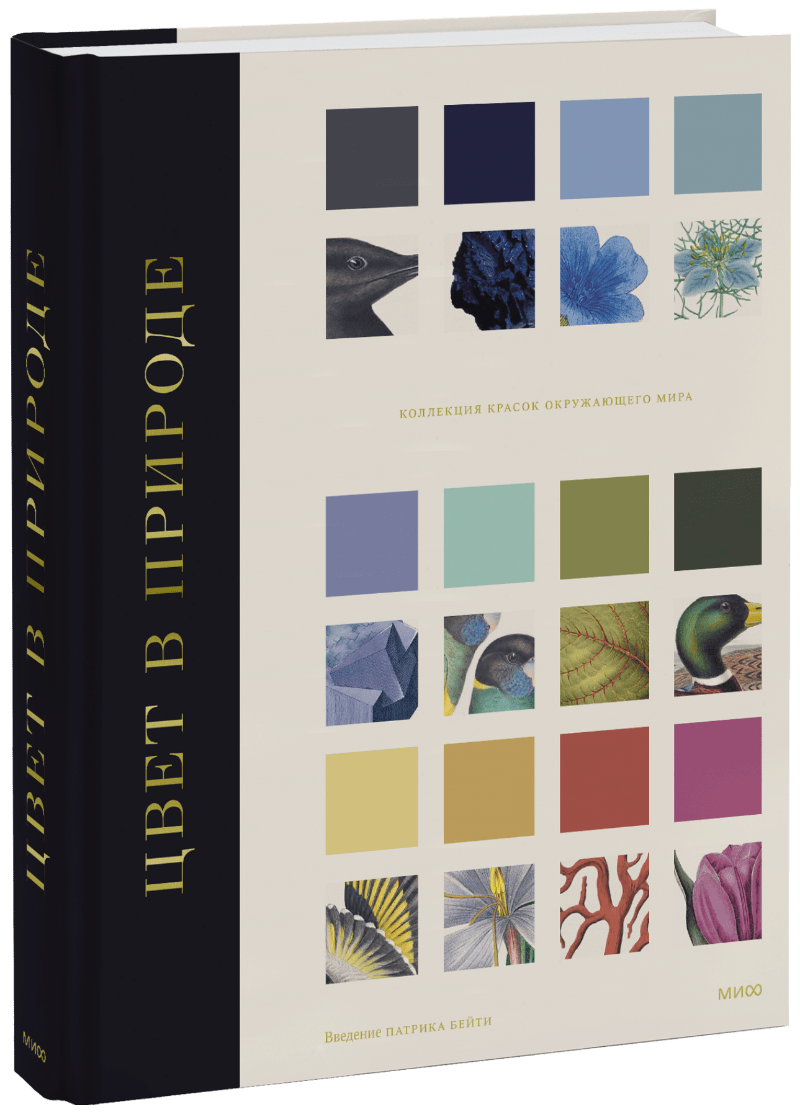 Цвет в природе